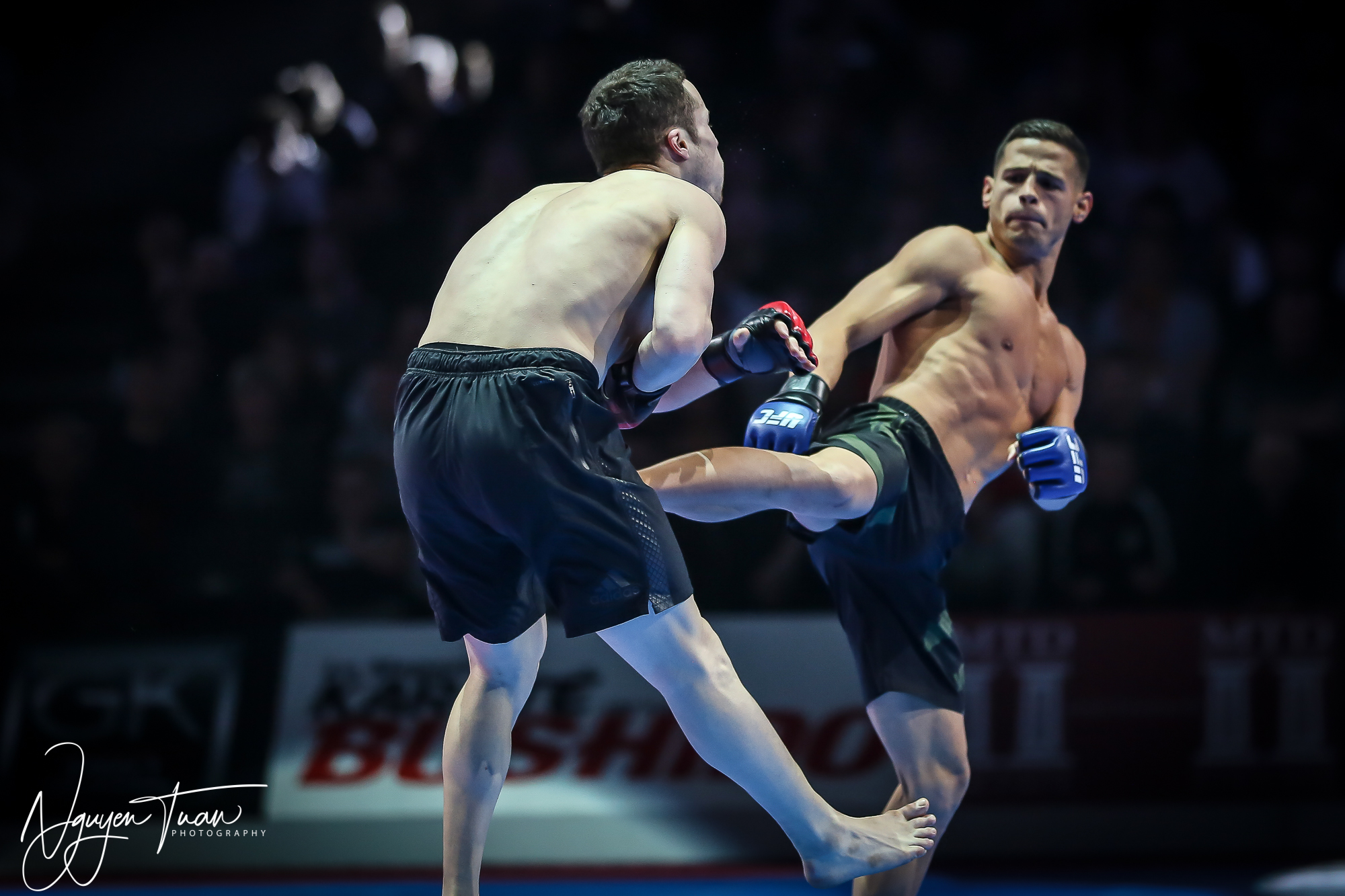 20190324 Festival des Arts Martiaux 5179